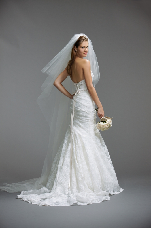 Watters - Spring 2014 Bridal Collection - Chara (corset) Wedding Dress